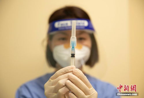 美國舊金山華裔社區居民積極接種新冠疫苗